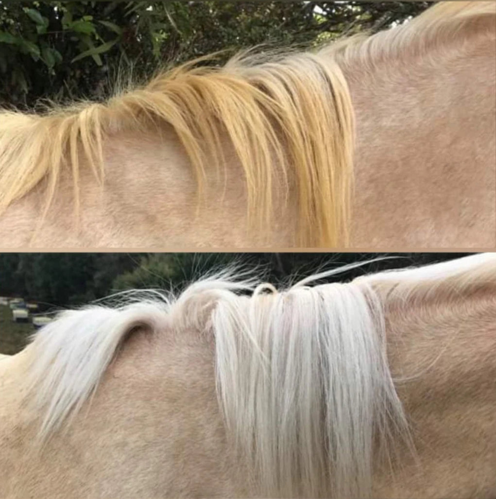 Bright White Wash Bar